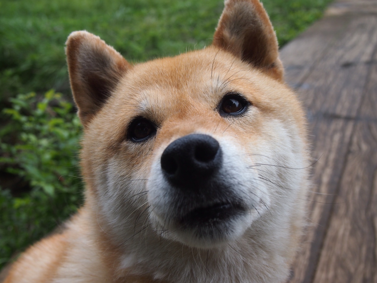 “策略之战：幕后布控的智慧交锋”，策略之家