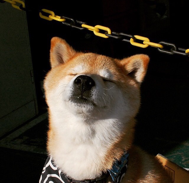 leyu.com-【激战到底】纽约洋基逆转天王山比赛夺冠