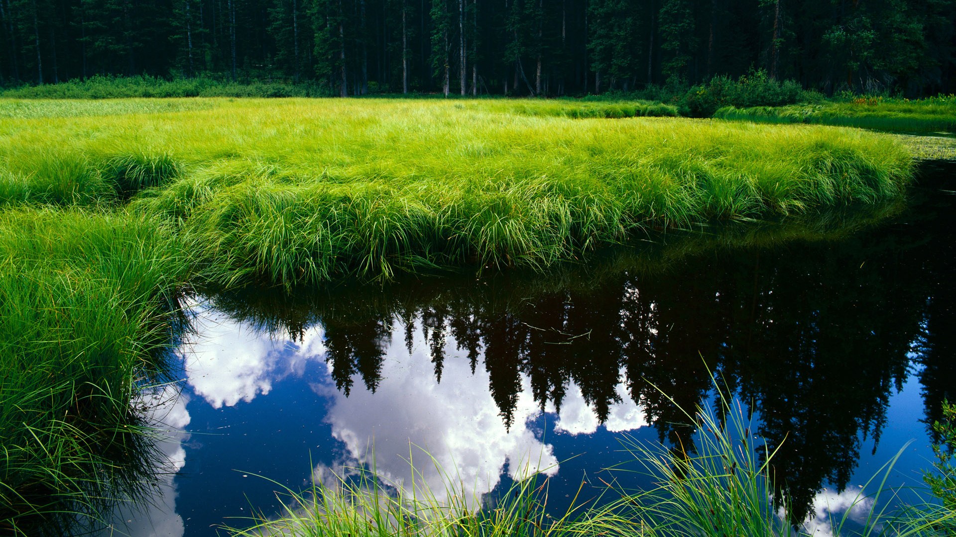 LeyuSports-中超转播权大动作，海外市场全面展开，中超转播权 80亿