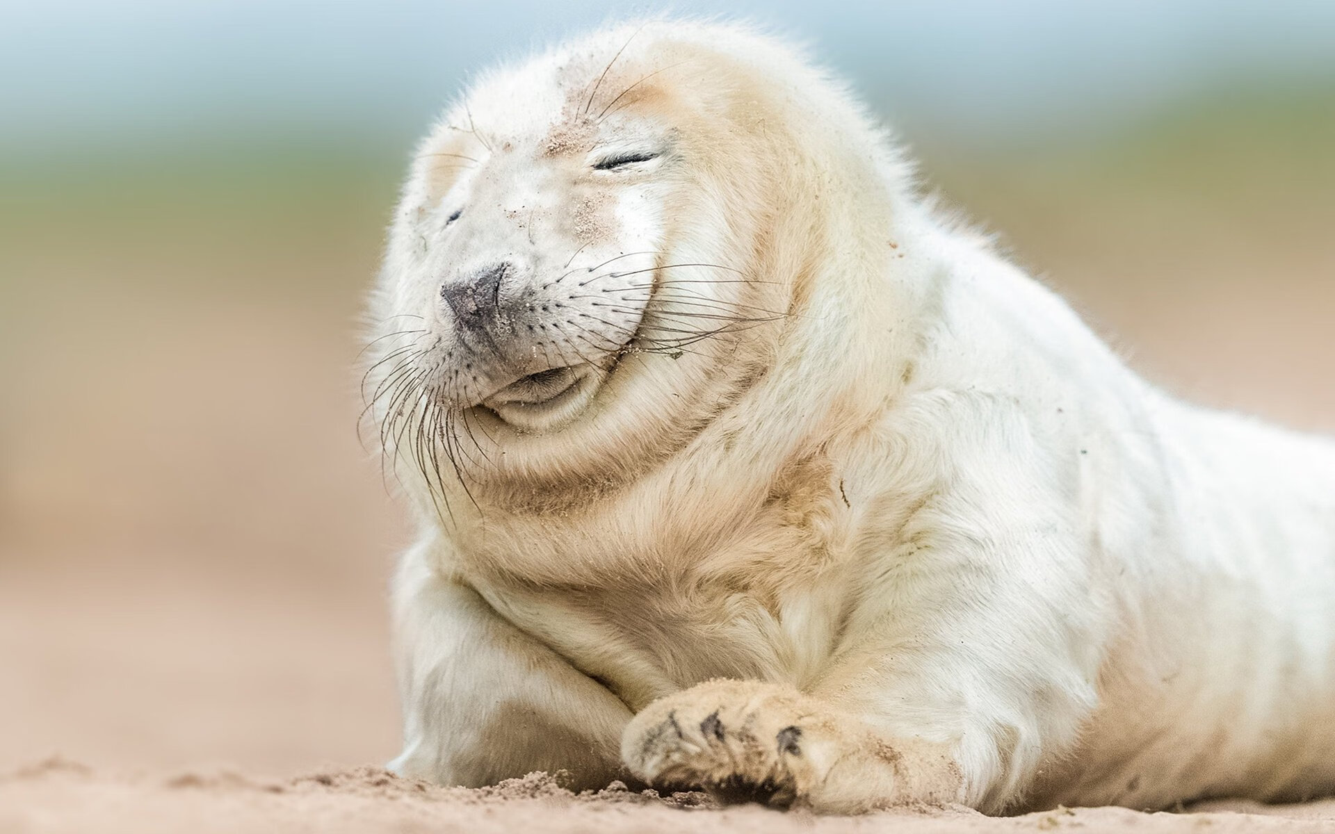 史上最震撼的“绝杀”合集：哪一球让你热血沸腾？，绝杀集锦