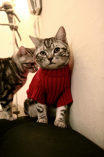 特色篮球文化展在全国巡展,弘扬运动精神与传统文化,篮球文化节美术作品