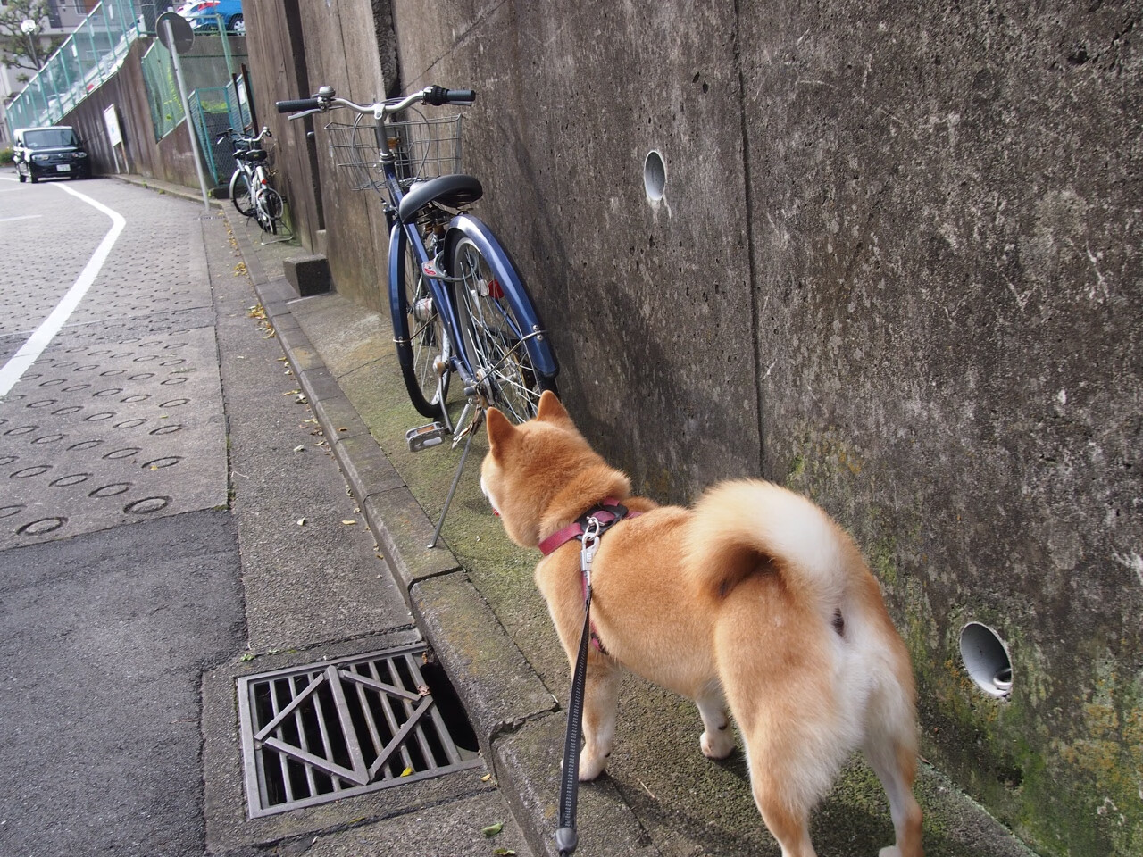 Leyu Sport登录入口-西甲焦点比赛，精彩射门与神级扑救交相辉映，西甲专题
