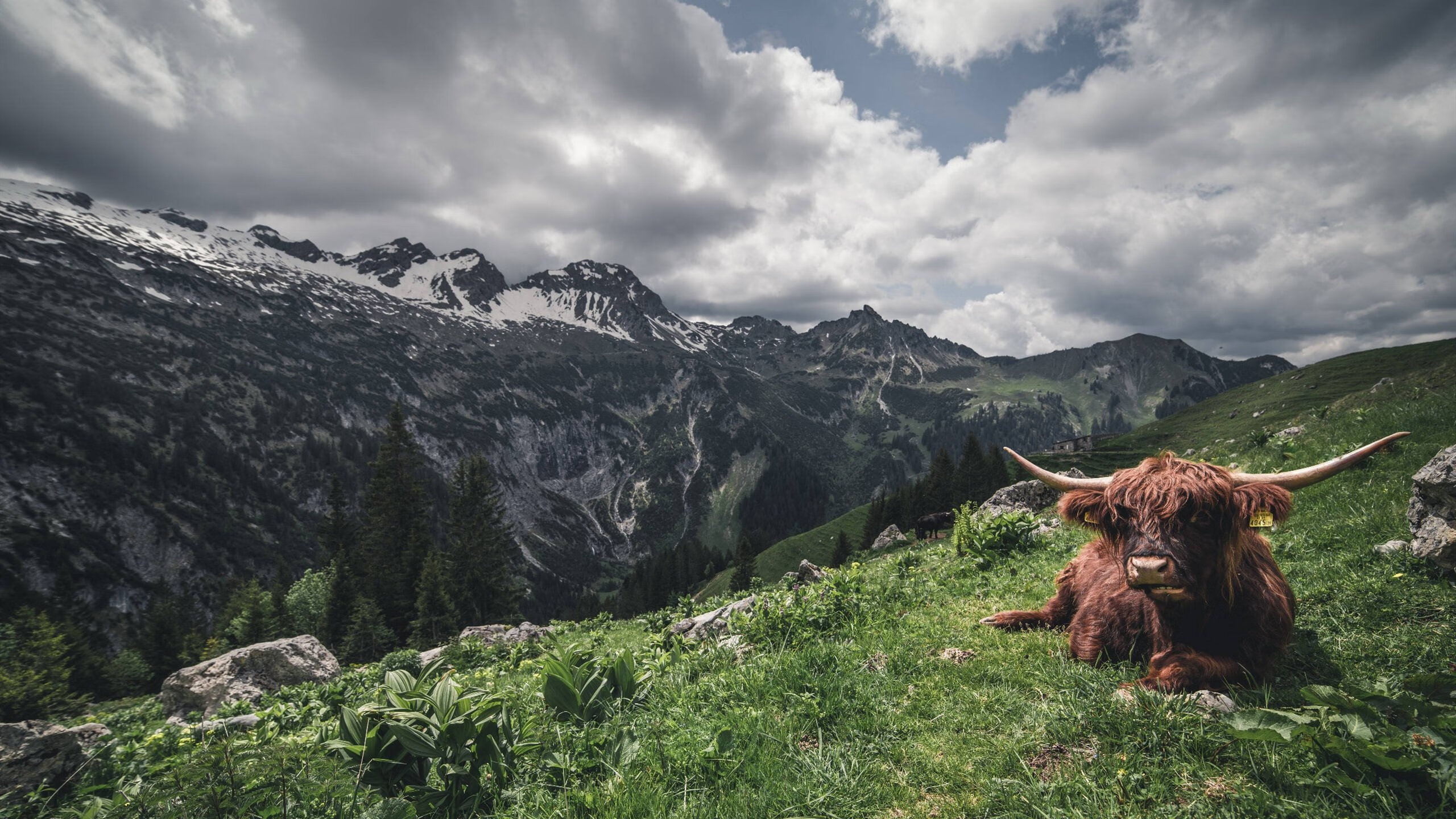 青少年“智慧青训”全国巡展在深圳亮相,推动行业数字化转型,智慧青年云平台