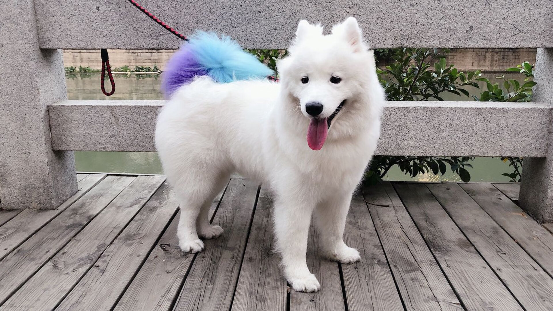 leyu乐鱼-世界射击世界杯中国队获五金，黄雨婷表现抢眼，世界杯射击冠军