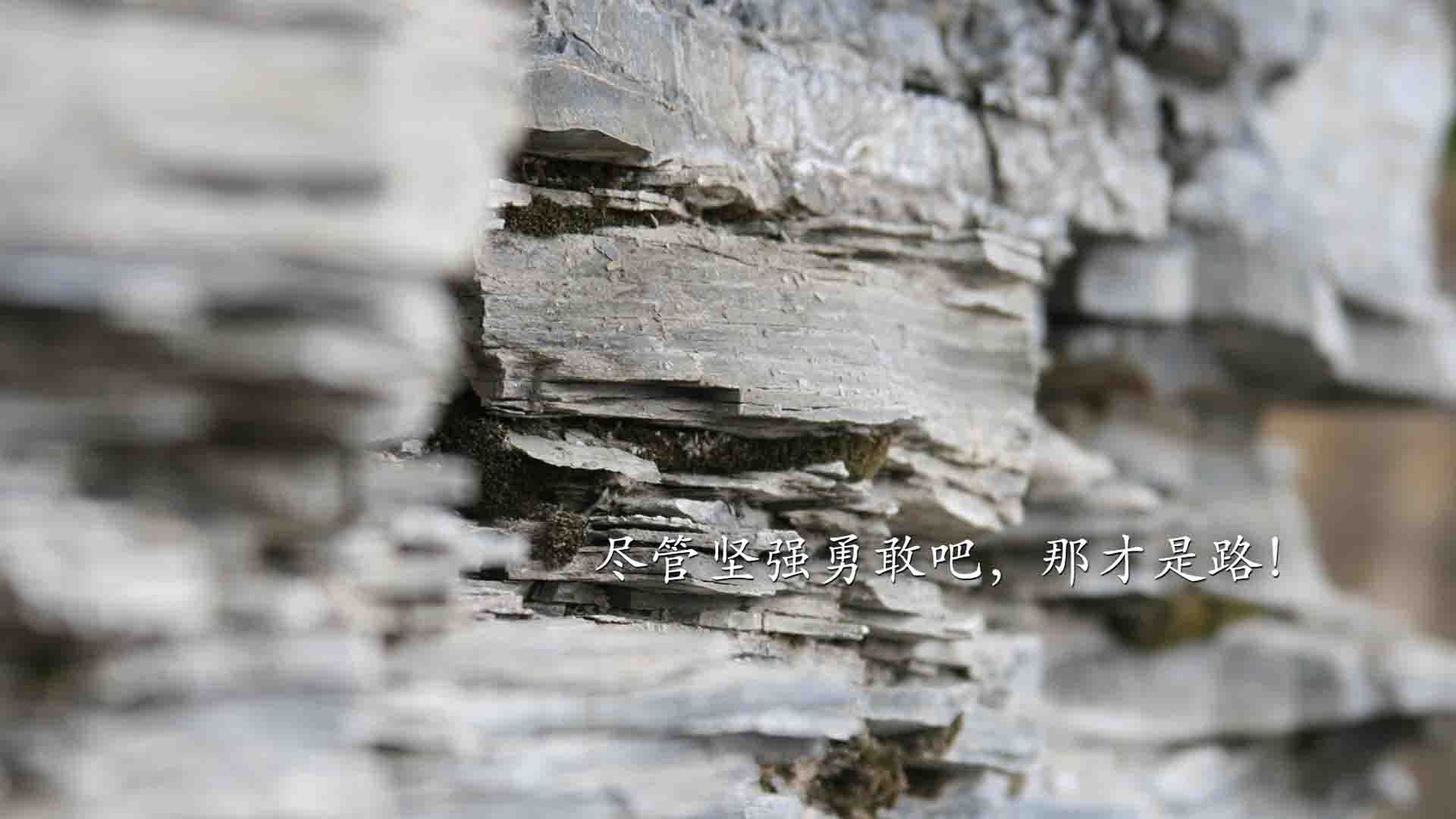 西汉姆联进攻火力猛,铁锤帮剑指前四,西汉姆联什么水平