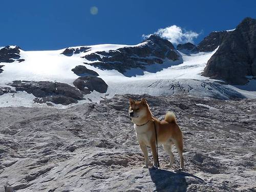未来之星崭露头角:欧冠联赛新秀亮相,新赛季欧冠冠军