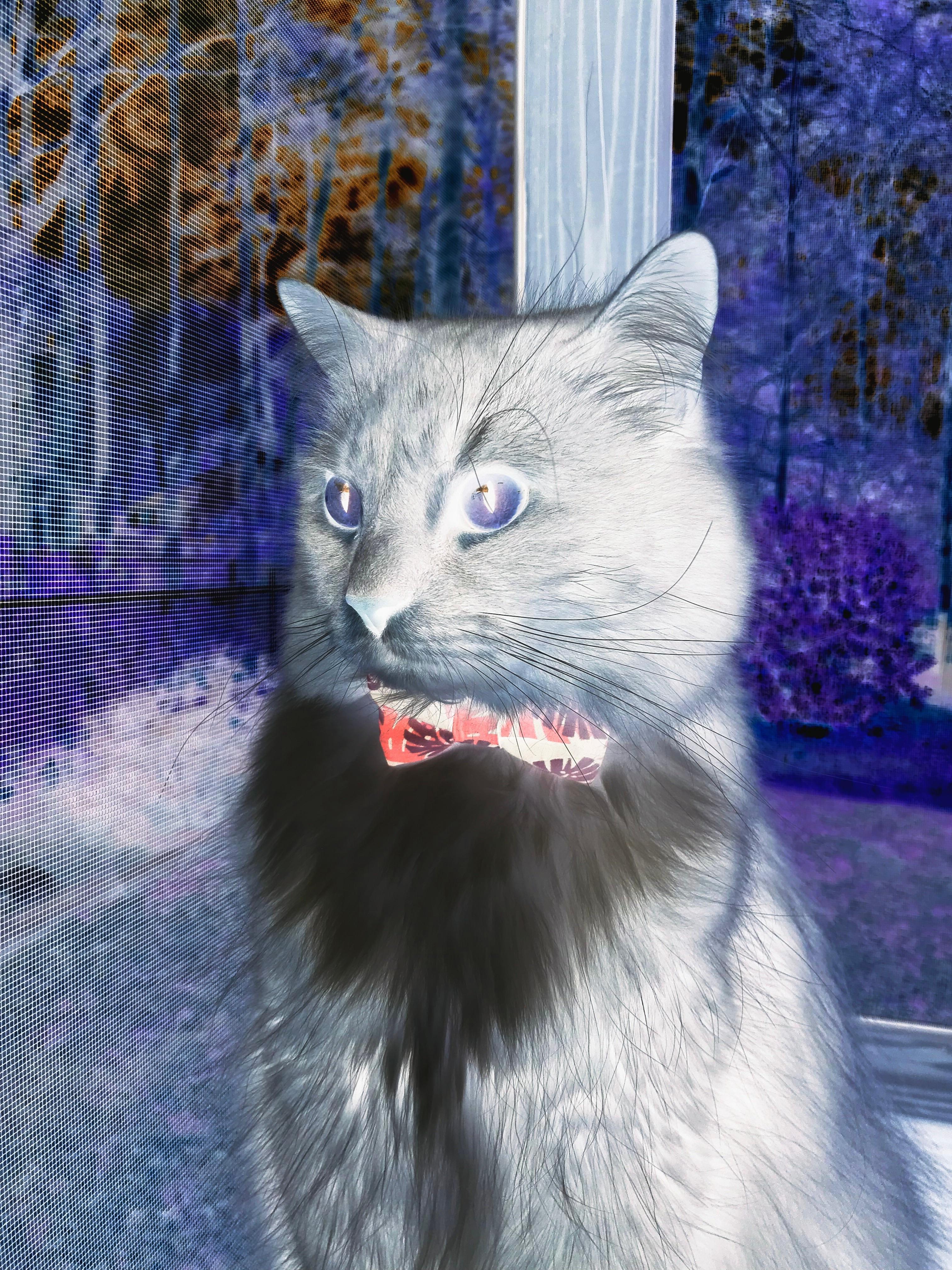 篮球运动员专项体能训练课程体系构建与科学实施,篮球运动专项体能训练的研究