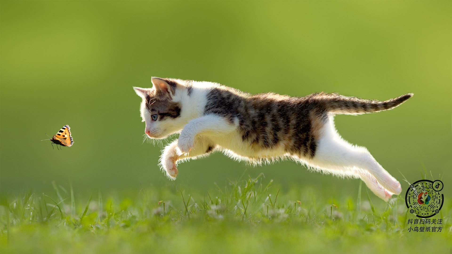 “阿仙奴攻势强劲,热刺能否挡住?”