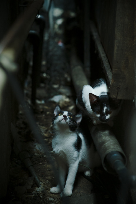 中立B女队初亮相,整体配速结构趋稳,中立球队