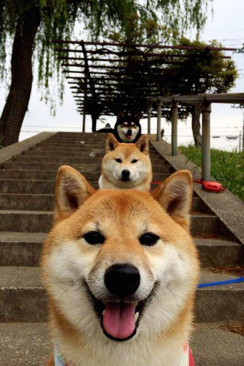 五大联赛快节奏压迫型比赛是否更受年轻球员欢迎,节奏最快的联赛