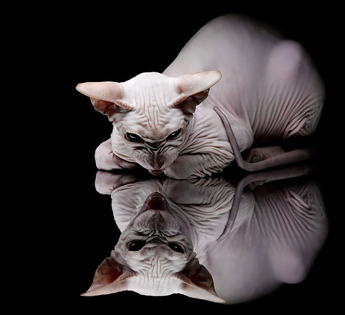 乐鱼电竞在线平台-球员职业生涯路径设计不科学，球员职业生涯路径设计不科学怎么办