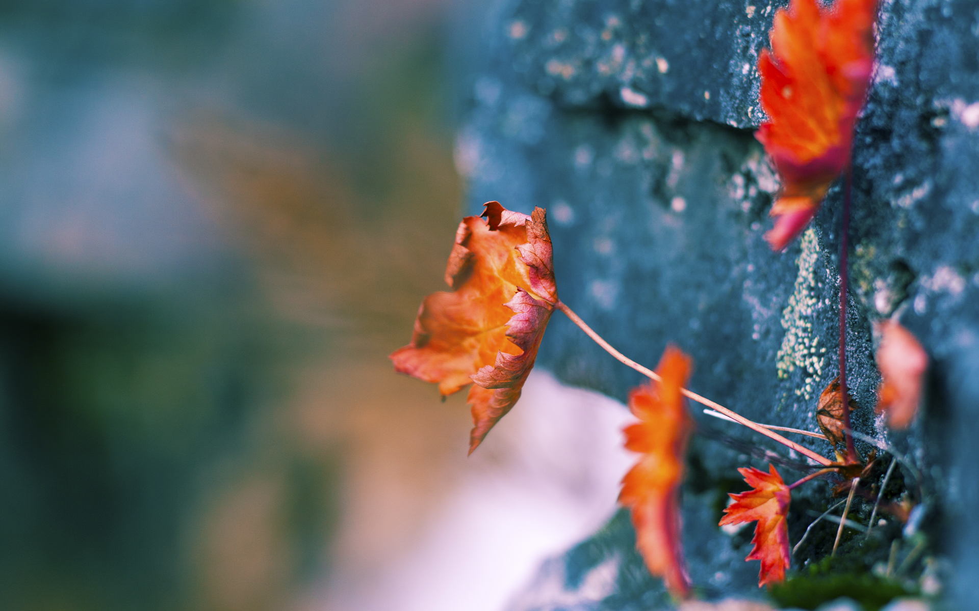 欧洲杯精彩再现:战术对决中的巅峰表现,欧洲杯各个球队技战术打法