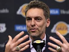 包含"追求完美：明星球员的职业生涯回顾"的词条