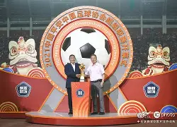 包含"中超联赛的市场价值分析：投资与回报"的词条